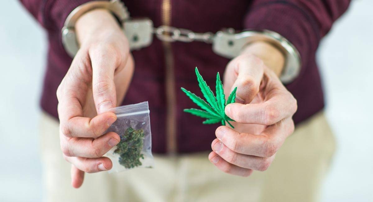 Marijuana Arrests